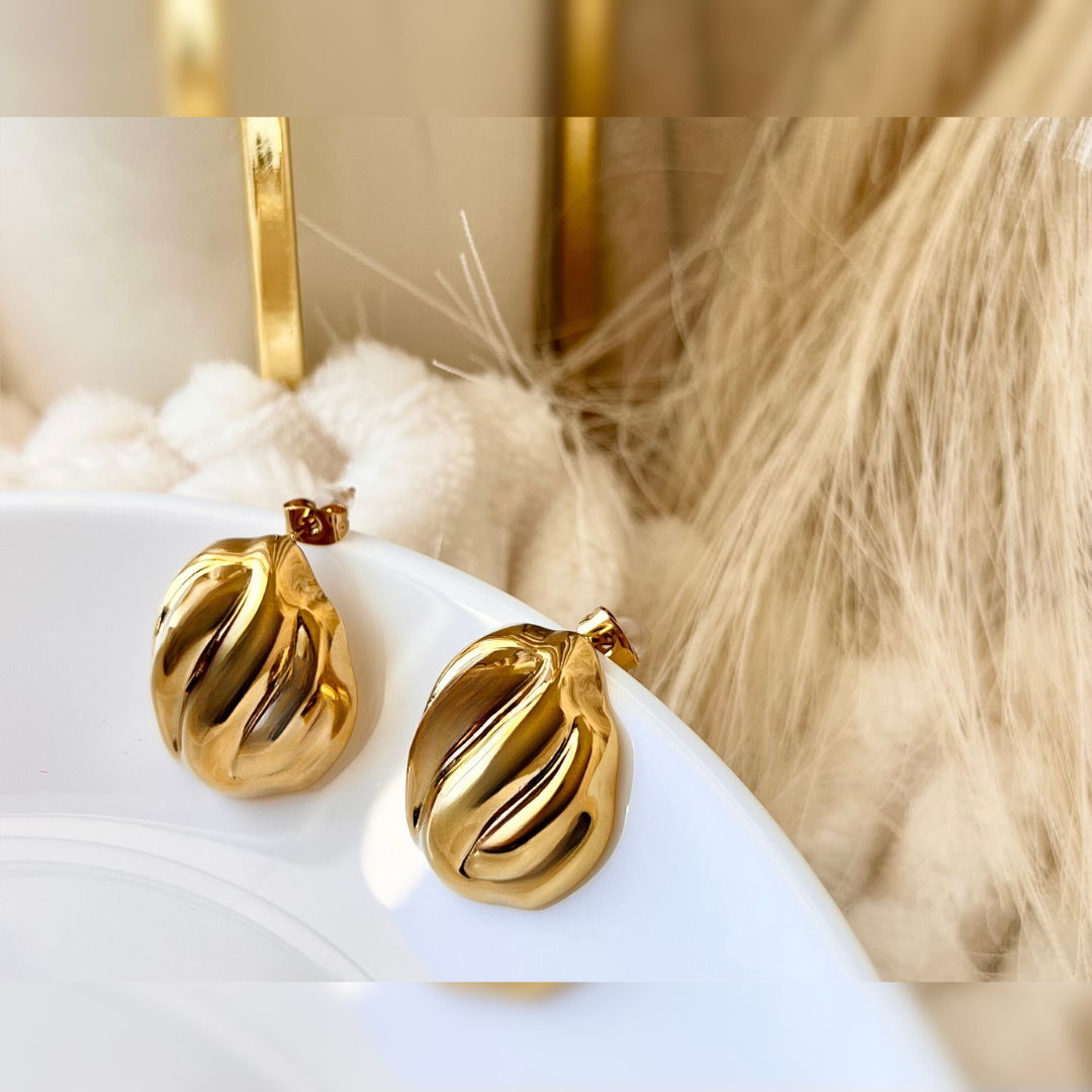 Pendientes Evelia✨